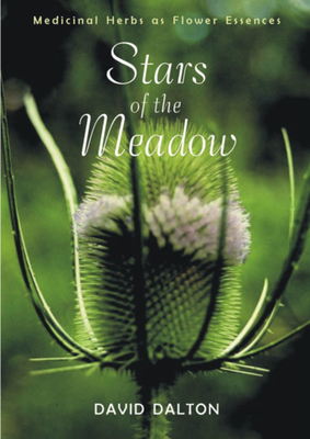 Stars of the Meadow: Medicinal Herbs as Flower Essences - Dalton, David, and Gilday, Kate (Foreword by)