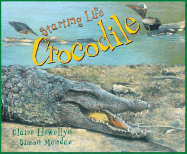 Starting Life: Crocodile - Llewellyn, Claire