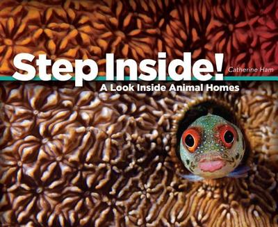 Step Inside!: A Look Inside Animal Homes - Ham, Catherine