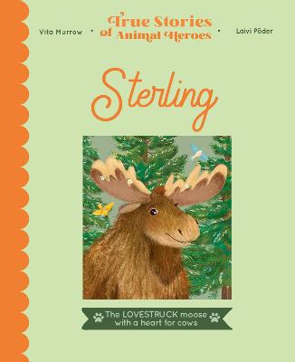 Sterling: The lovestruck moose with a heart for cows - Murrow, Vita