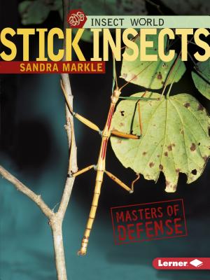 Stick Insects: Masters of Defense - Markle, Sandra