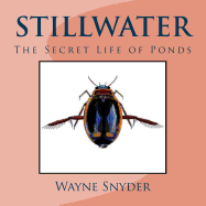 Stillwater: The Secret Life of Ponds