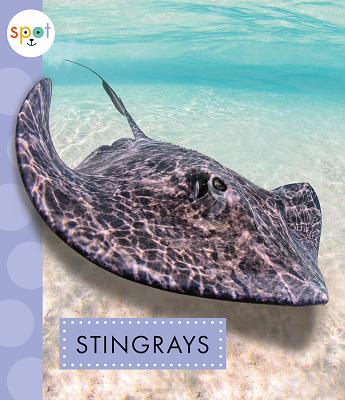 Stingrays - Schuh, Mari C