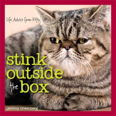Stink Outside the Box: Life Advice from Kitty - Greenberg, Jeremy