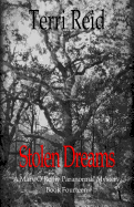 Stolen Dreams - A Mary O'Reilly Paranormal Mystery - Book Fourteen
