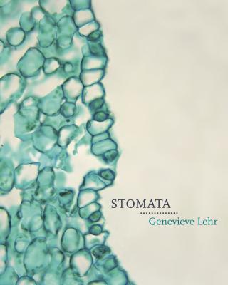 Stomata - Lehr, Genevieve