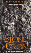 Stone Crop