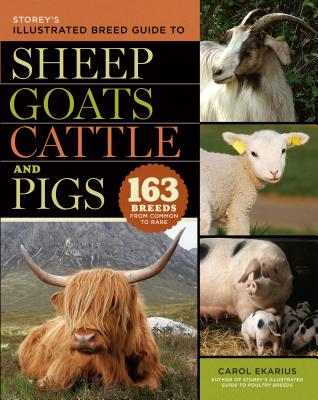 Storey's Illustrated Breed Guide to Sheep, Goats, Cattle and Pigs: 163 Breeds from Common to Rare - Ekarius, Carol