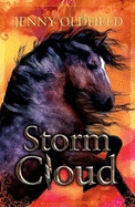 Storm Cloud