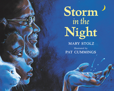 Storm in the Night - Stolz, Mary