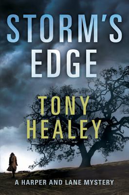 Storm's Edge - Healey, Tony