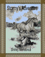 Stormy's Adventure