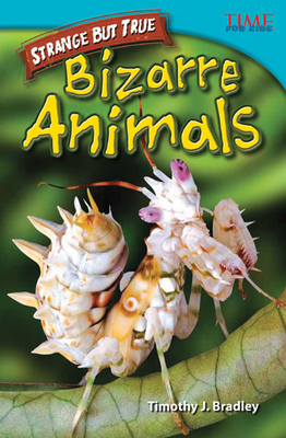 Strange But True: Bizarre Animals: Bizarre Animals - Bradley, Timothy J