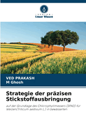 Strategie der przisen Stickstoffausbringung