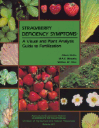 Strawberry Deficiency Symptoms: A Visual and Plant Analysis Guide to Fertilization