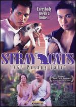 Stray Cats [Mainstream Cover]