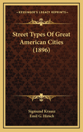 Street Types Of Great American Cities (1896)