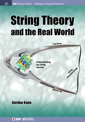 String Theory and the Real World - Kane, Gordon