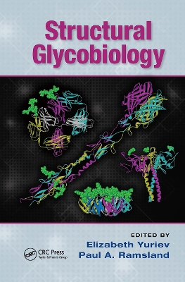 Structural Glycobiology - Yuriev, Elizabeth (Editor), and Ramsland, Paul A (Editor)