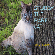 Stubby The Rare Cat