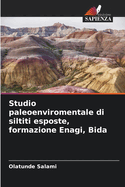 Studio paleoenviromentale di siltiti esposte, formazione Enagi, Bida