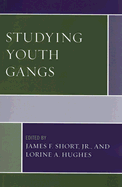 Studying Youth Gangs