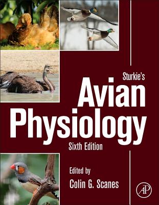 Sturkie's Avian Physiology - Scanes, Colin G. (Editor)