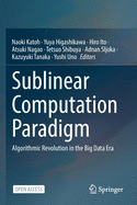 Sublinear Computation Paradigm: Algorithmic Revolution in the Big Data Era