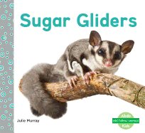 Sugar Gliders