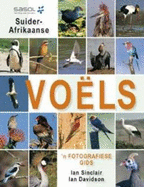 Suider-Afrikaanse Voels 'n Fotografiese Gids