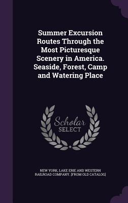 Summer Excursion Routes Through the Most Picturesque Scenery in America. Seaside, Forest, Camp and Watering Place - New York, Lake Erie and Western Railroad (Creator)