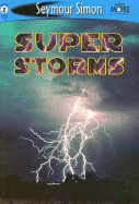 Super Storms: Level 2)