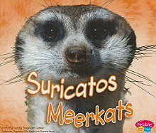 Suricatos/Meerkats