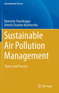 Sustainable Air Pollution Management: Theory and Practice