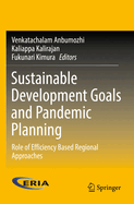 Sustainable Development Goals and Pandemic Planning: Role of Efficiency Based Regional Approaches