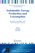 Sustainable Energy Production and Consumption: Benefits, Strategies and Environmental Costing