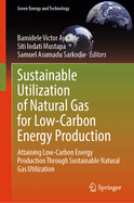 Sustainable Utilization of Natural Gas for Low-Carbon Energy Production: Attaining Low-Carbon Energy Production Through Sustainable Natural Gas Utilization