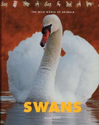 Swans - Hoff, Mary King