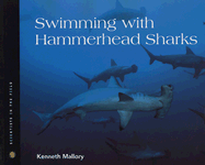 Swimming with Hammerhead Sharks