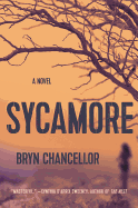 Sycamore