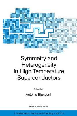 Symmetry and Heterogeneity in High Temperature Superconductors - Bianconi, Antonio (Editor)