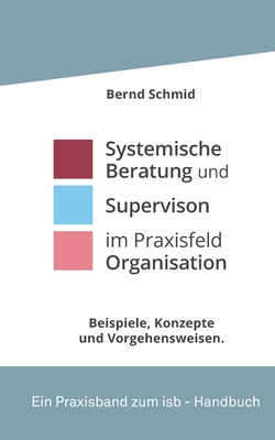 Systemische Beratung und Supervision im Praxisfeld Organisation: Beispiele im Dialog - Schmid, Bernd