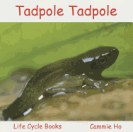 Tadpole Tadpole: Life Cycle Books