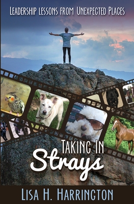 Taking In Strays: Leadership Lessons From Unexpected Places - Harrington, Lisa H