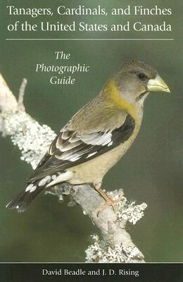 Tanagers, Cardinals, and Finches of the United States and Canada: The Photographic Guide - Beadle, David, and Rising, James D