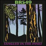 Tangled in the Pines - BR549