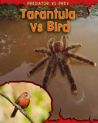 Tarantula vs Bird - Meinking, Mary