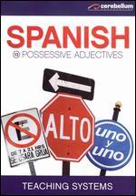 Teaching Systems: Spanish Module 13 - Possessive Adjectives