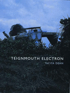 Teignmouth Electron - Dean, Tacita