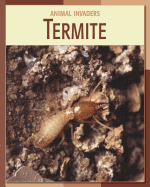 Termite - Gray, Susan H